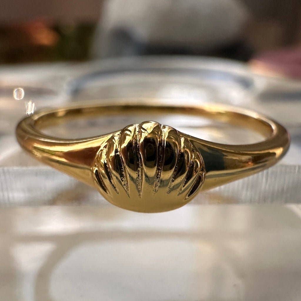 shell signet ring