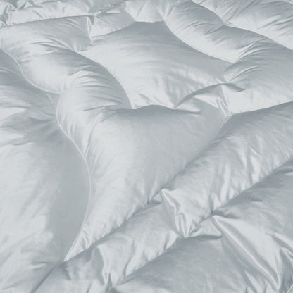 Blue Silk Eiderdown