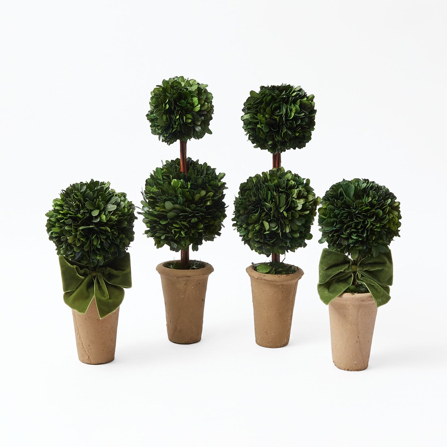 Double Potted Boxwood Balls (Pair)